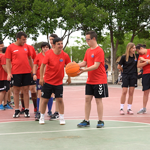 inclusión 300x300